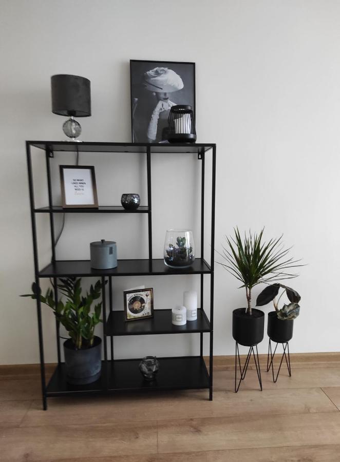 Apartament Mazury Кентшин Екстер'єр фото